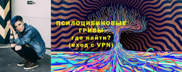ПСИЛОЦИБИНОВЫЕ ГРИБЫ Верхний Тагил