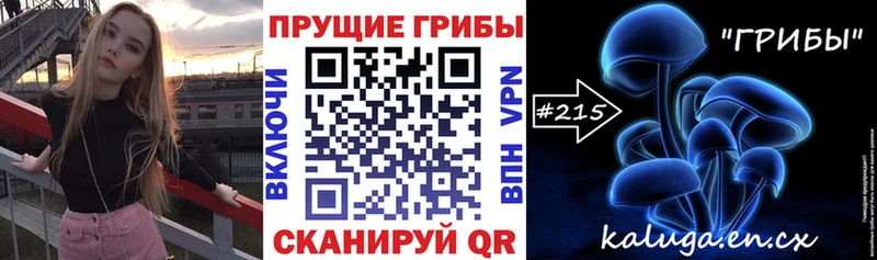 где купить наркоту  Волосово  Псилоцибиновые грибы ЛСД 